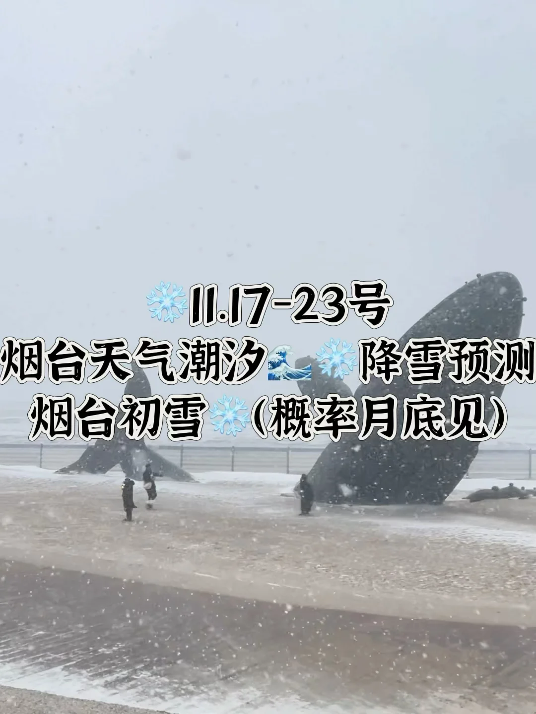 📍11.17-23号烟台天气及降雪情况（供参考）