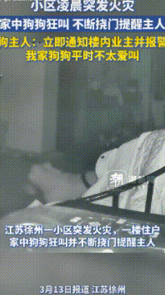 突发：江苏徐州一居民小区突发火灾，男主人光屁股逃生并报警：幸亏我家养的狗把我叫醒
