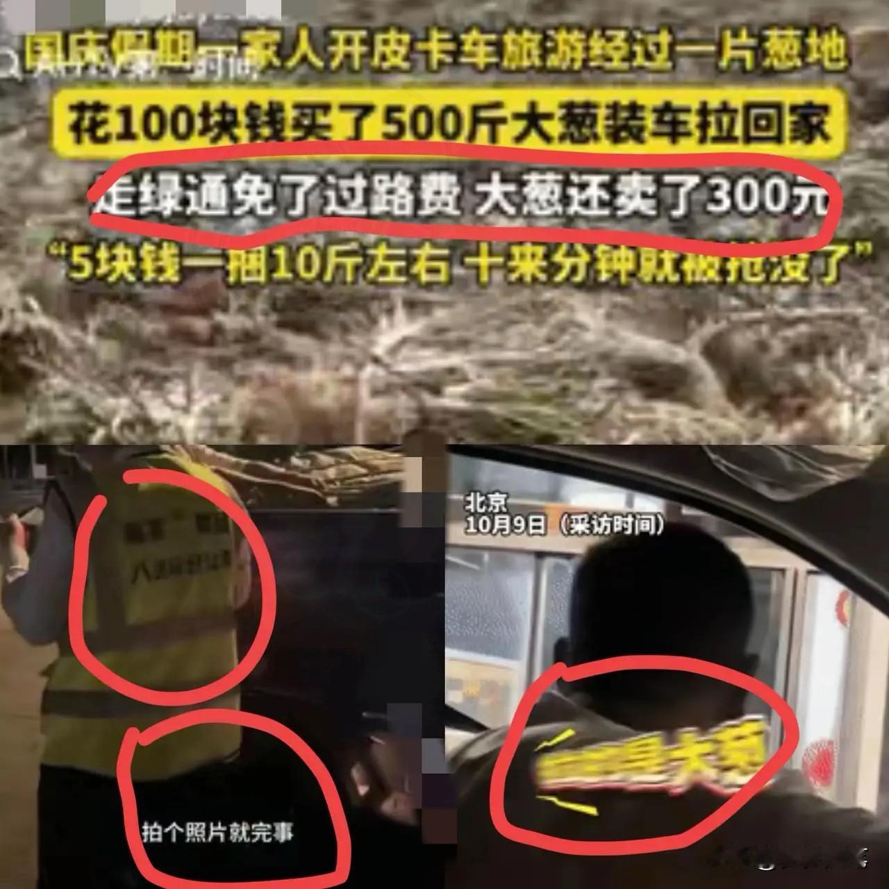“赚大发了”！北京柴先生开皮卡带家人去承德，路过葱地听说才2毛一斤，他直接包了5