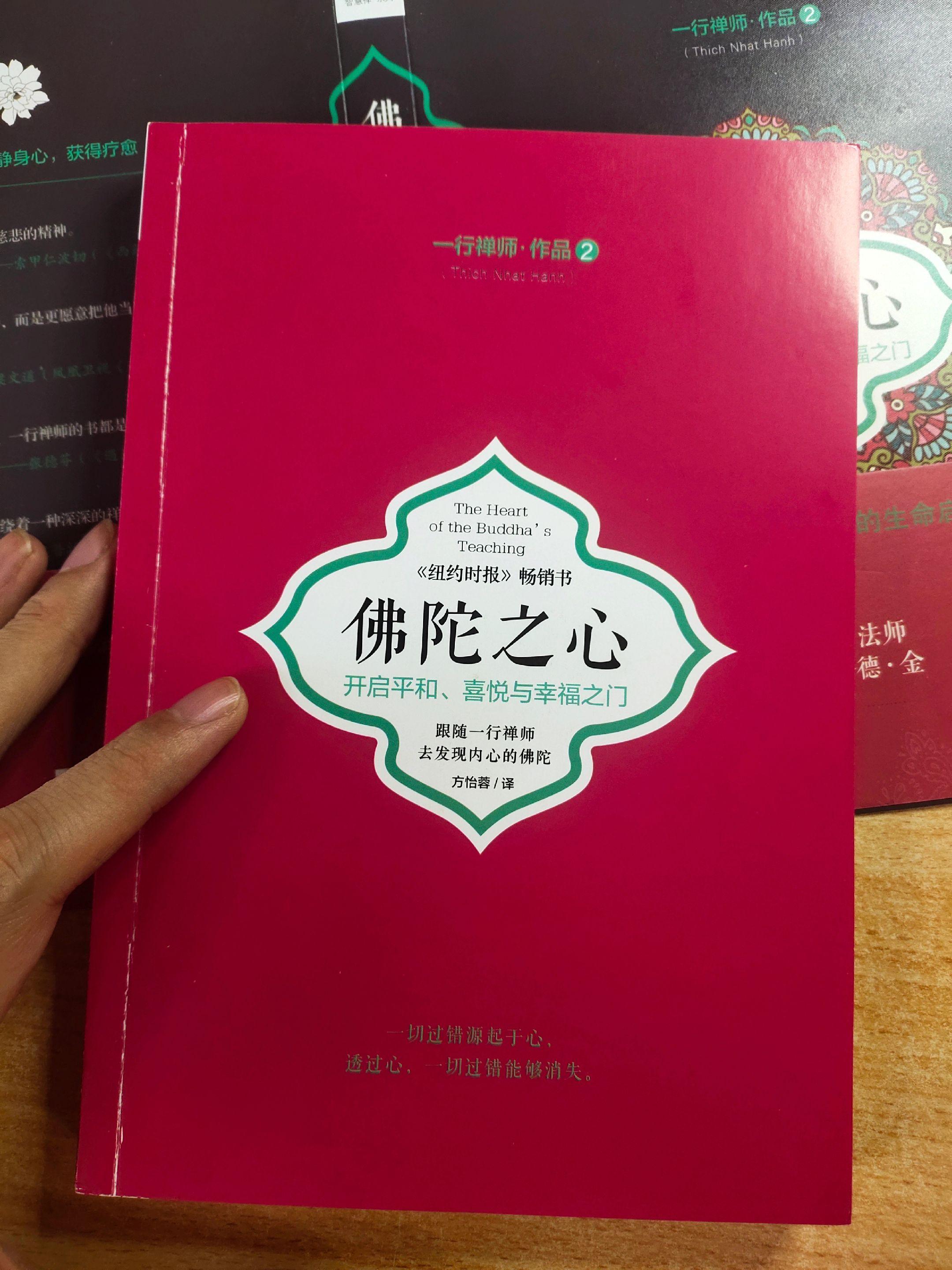 《佛陀之心》当代伟大禅师写给千万都市人的生命启示录。