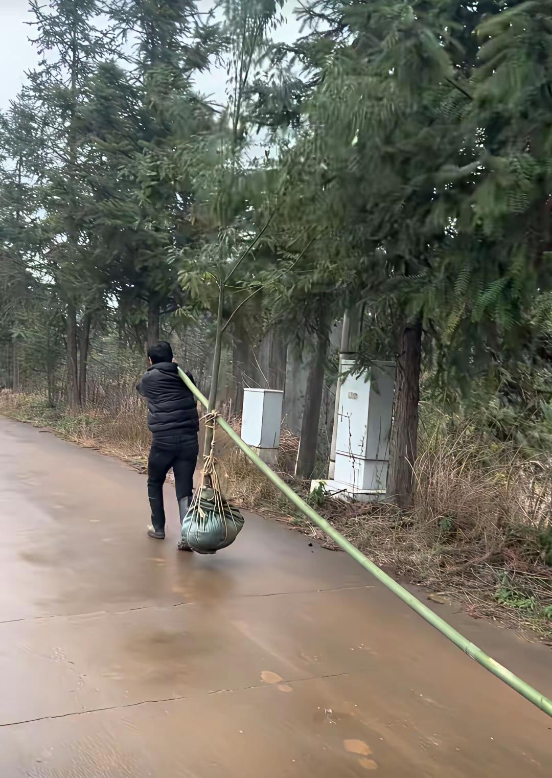 吉林大学会怎么处理这件事呢？损坏公物的行为可不能轻饶，还是报警吧，让警察叔叔来好