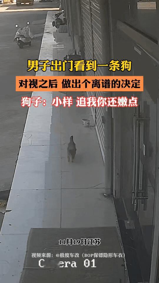 万万没想到！江苏盐城，一流浪狗经常被附近老板娘喂养，时不时在店门口“蹲点”等老板