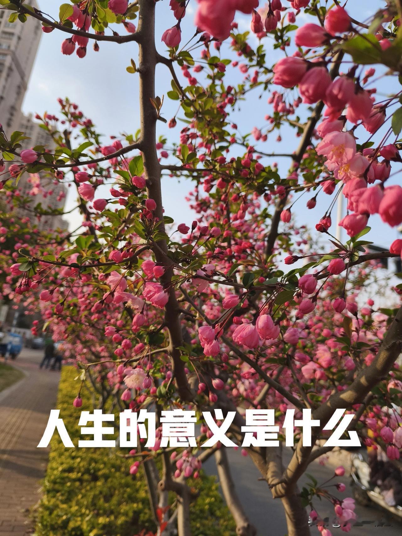 当自己成功后能知道感恩并帮助他人才是人生的意义所在
很多人不光是在自己的努力下，