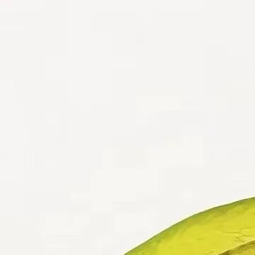 种植 杨桃的种植方法一、选择地点杨桃喜欢温暖湿润的气候，需要充足的阳光。选择排水