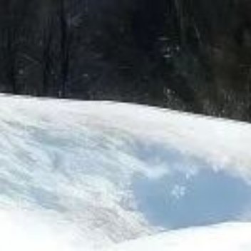 阳光信用 阳光信用每日一善 美好的人，并不是那么难遇到。是美好而且深爱我们的人。