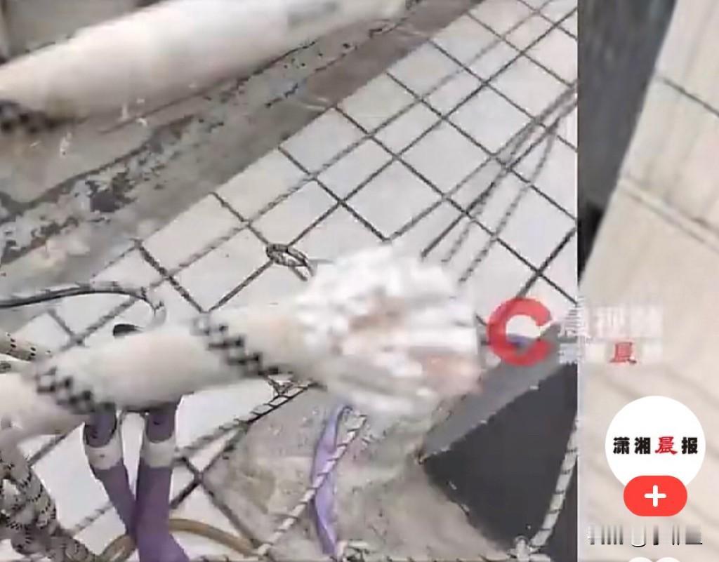 近日，湖北武汉两名师傅在60层超高
层大楼做外墙粉刷作业，高空作业有两条安全保护