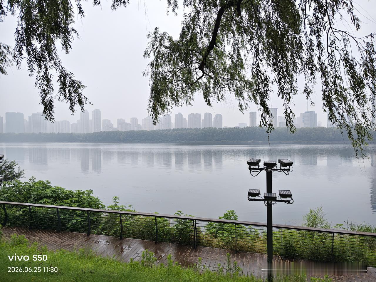 分享你随手拍的风景一场雨过后，聚拢的雾气似一层薄纱温柔的笼罩在河面。远处的树木、