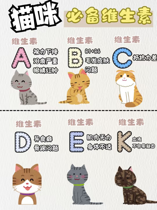 猫咪必备维生素🐈