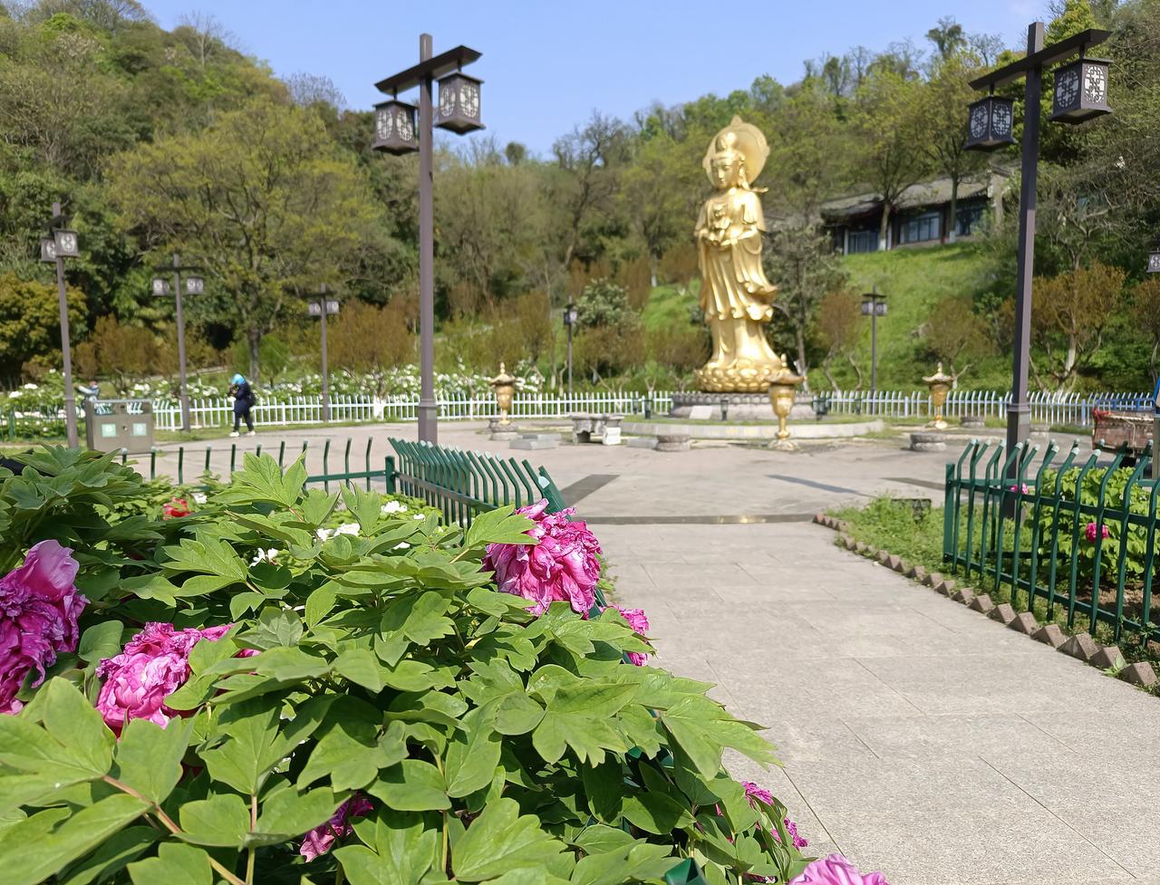 南京幕燕滨江风光带中的牡丹园位于二台洞景区百子林，每年阳春三月,万株牡丹花盛开，