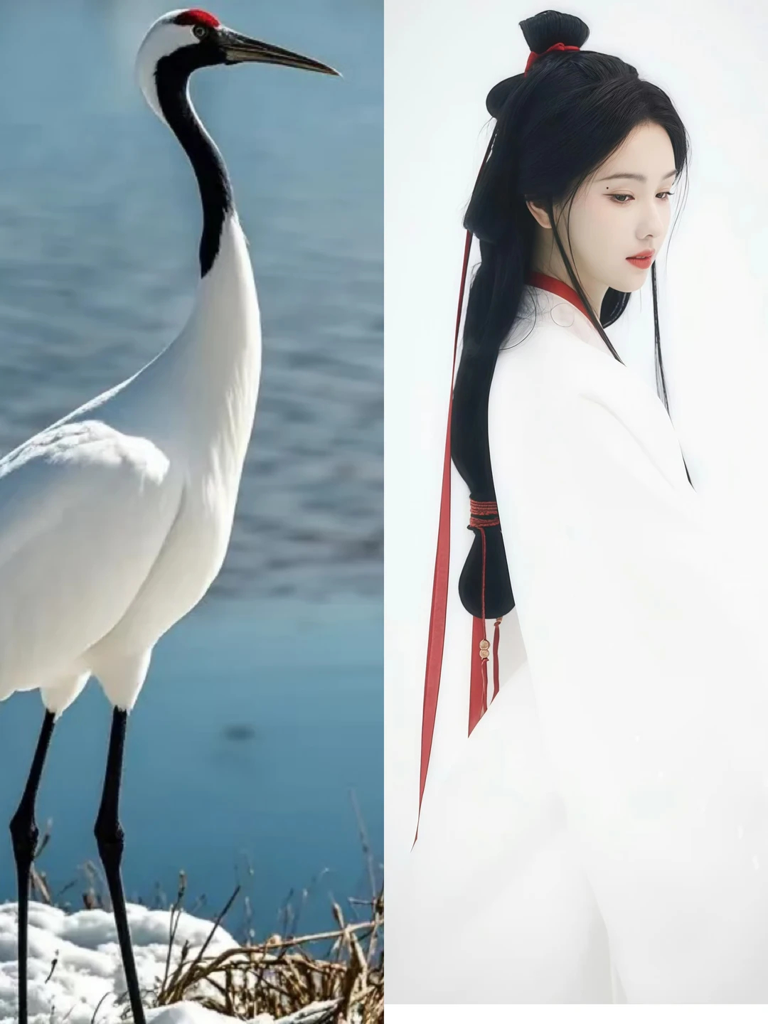 陈都灵白衣仙鹤塑陈都灵楚朝白衣清冷感 这种清冷感是骨子里自带的吧？侧卧那里慵懒又