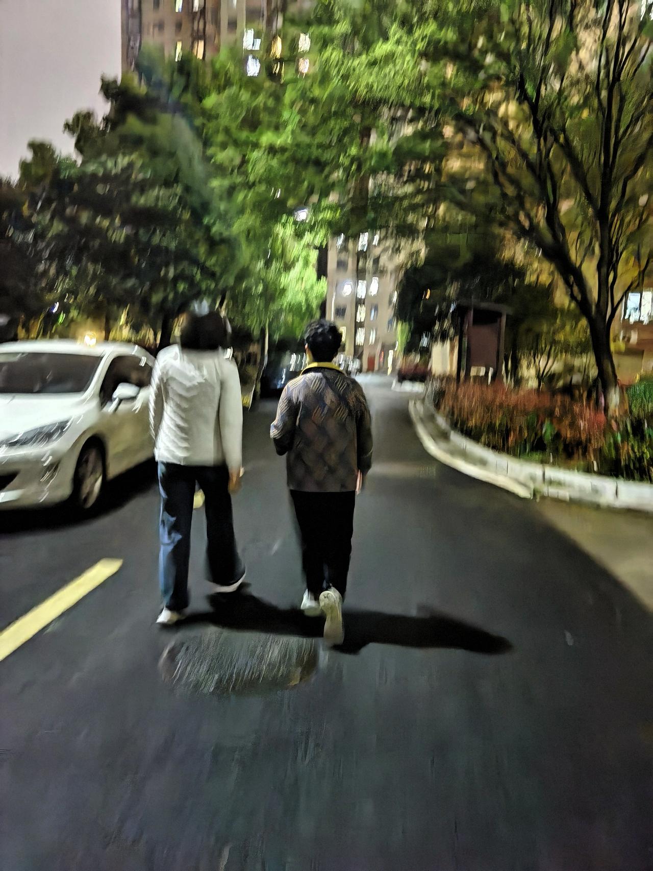 春雨沥沥缠绵落了两日，傍晚终于收了淅沥声响。
漫步在小区晚风里，泥土混着草木的清