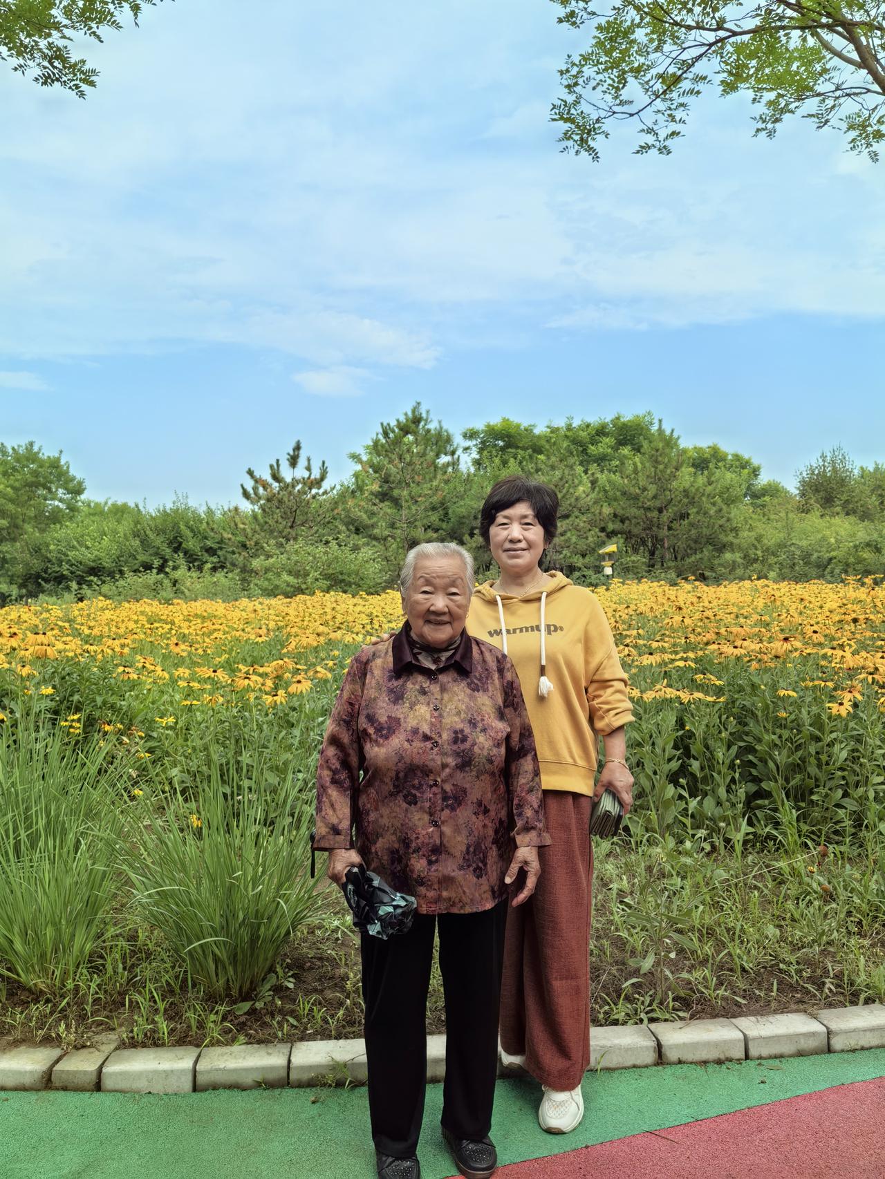 阅景公园随拍金鸡菊
早上陪老人家来阅景公园遛弯，看到满园的小黄花真好看，原来它就