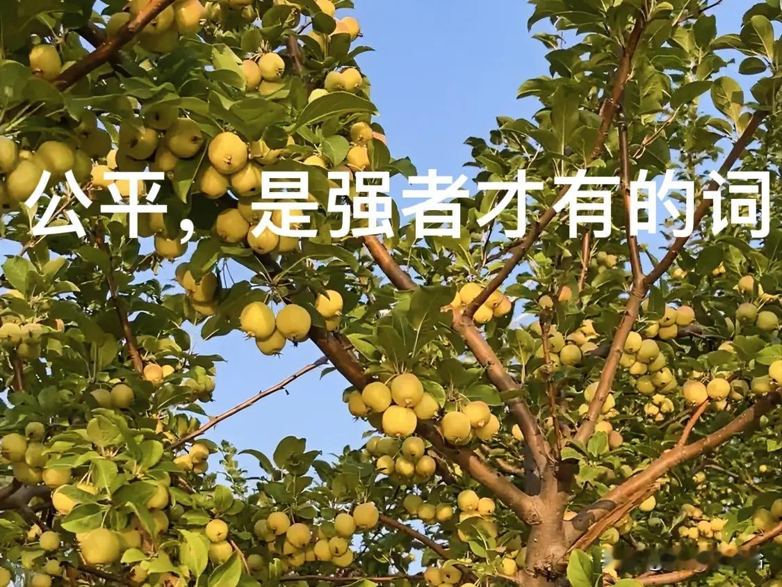 孩子学校班里有位同学是“关系户”，只因他妈妈是本学校的老师，所以这位同学可以轻松