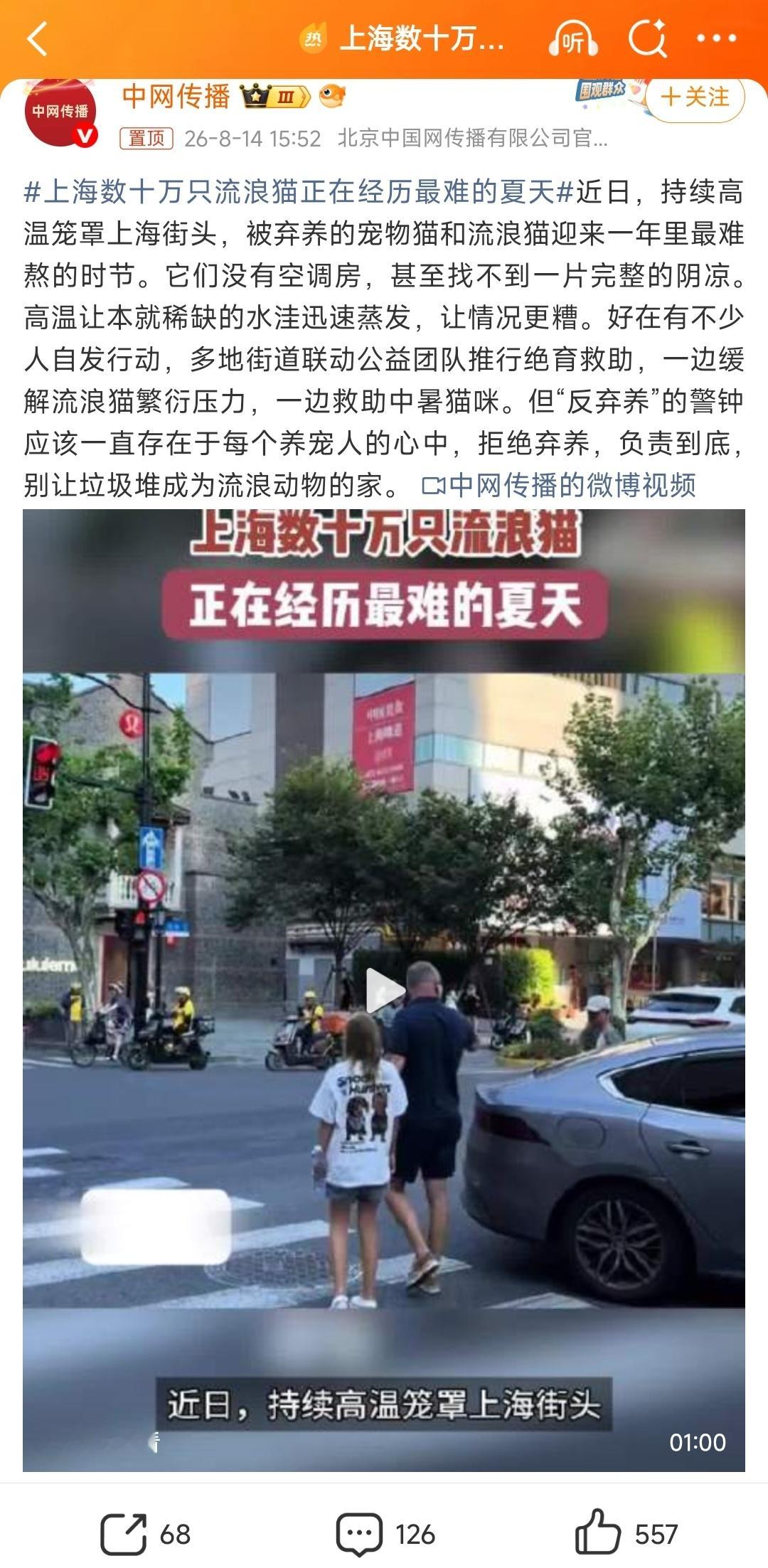 上海居然有数十万只流浪猫，这么多流浪猫会对当地的野生鸟类、小动物们造成怎样的影响