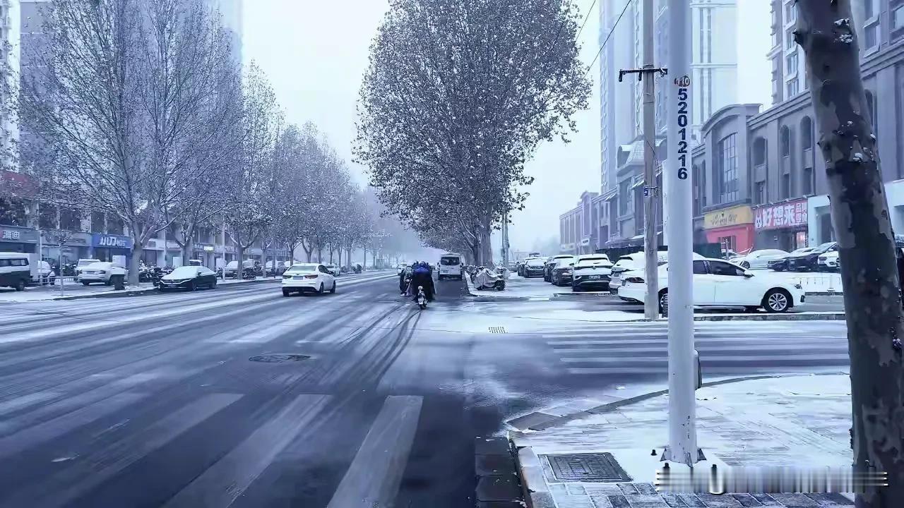 阳光是不燥的，温柔地洒下来，落在皑皑的雪地上，溅起细碎的光。那光漫过屋脊，漫过枝