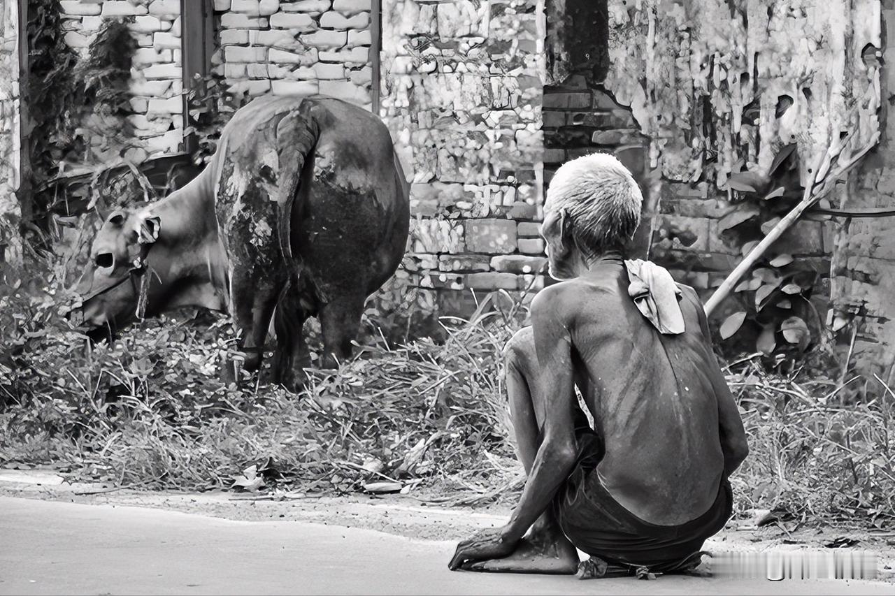 我们现在面临的最大问题不是饥饿，而是肥胖，其实，不挨饿，也就短短40年。

人的