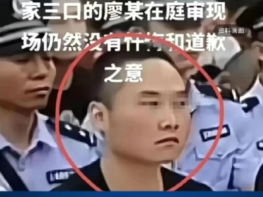 为什么景德镇撞人事件反响这么大？
因为实在是太讽刺了！
根本不是死缓争议，是恶的