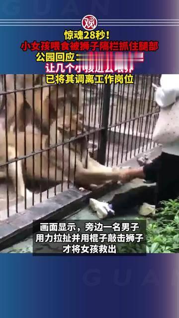 动物园的狮子刚把女孩拖倒，饲养员就被停职了。
网友怒骂：“管理失职！”“人命关天