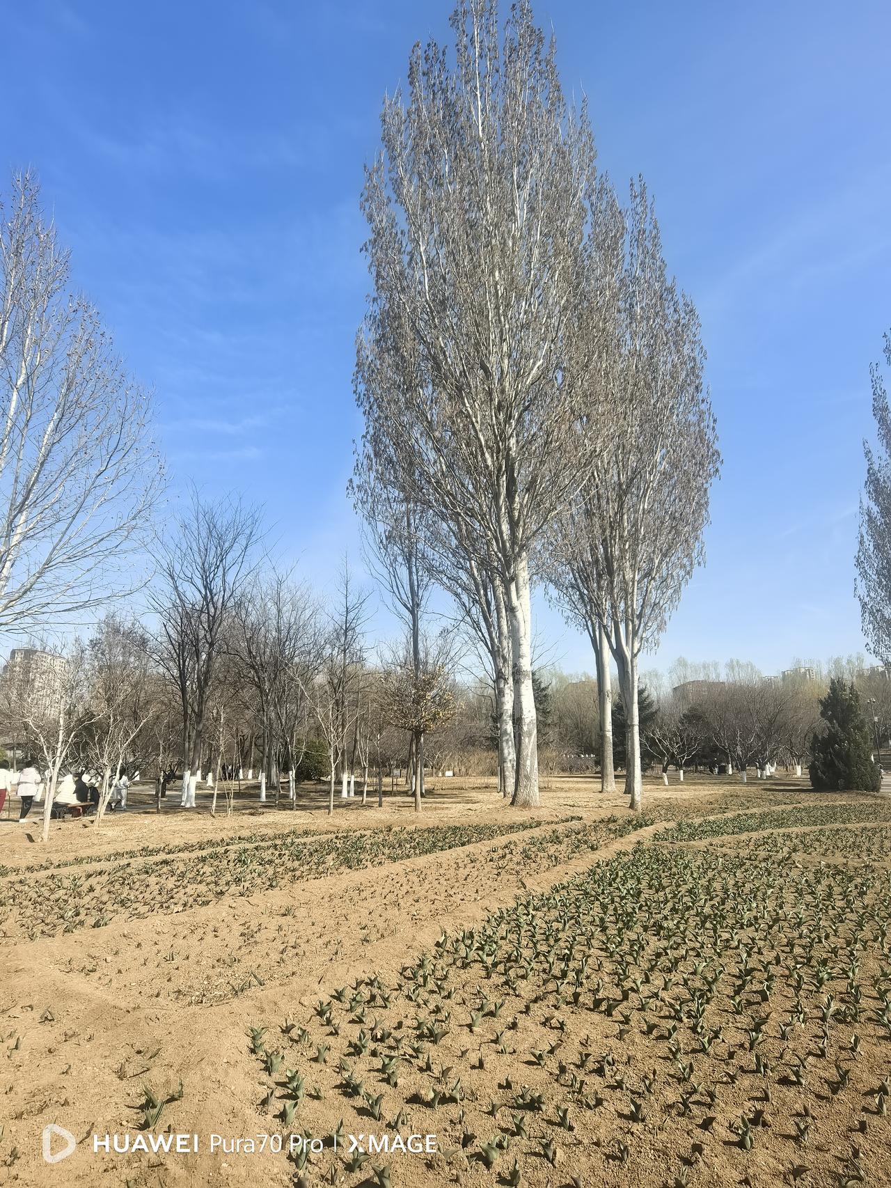 一句话戳痛了无数帮子女带娃的老人：千万不要高估你在儿女心中的份量，父母爱儿女是本