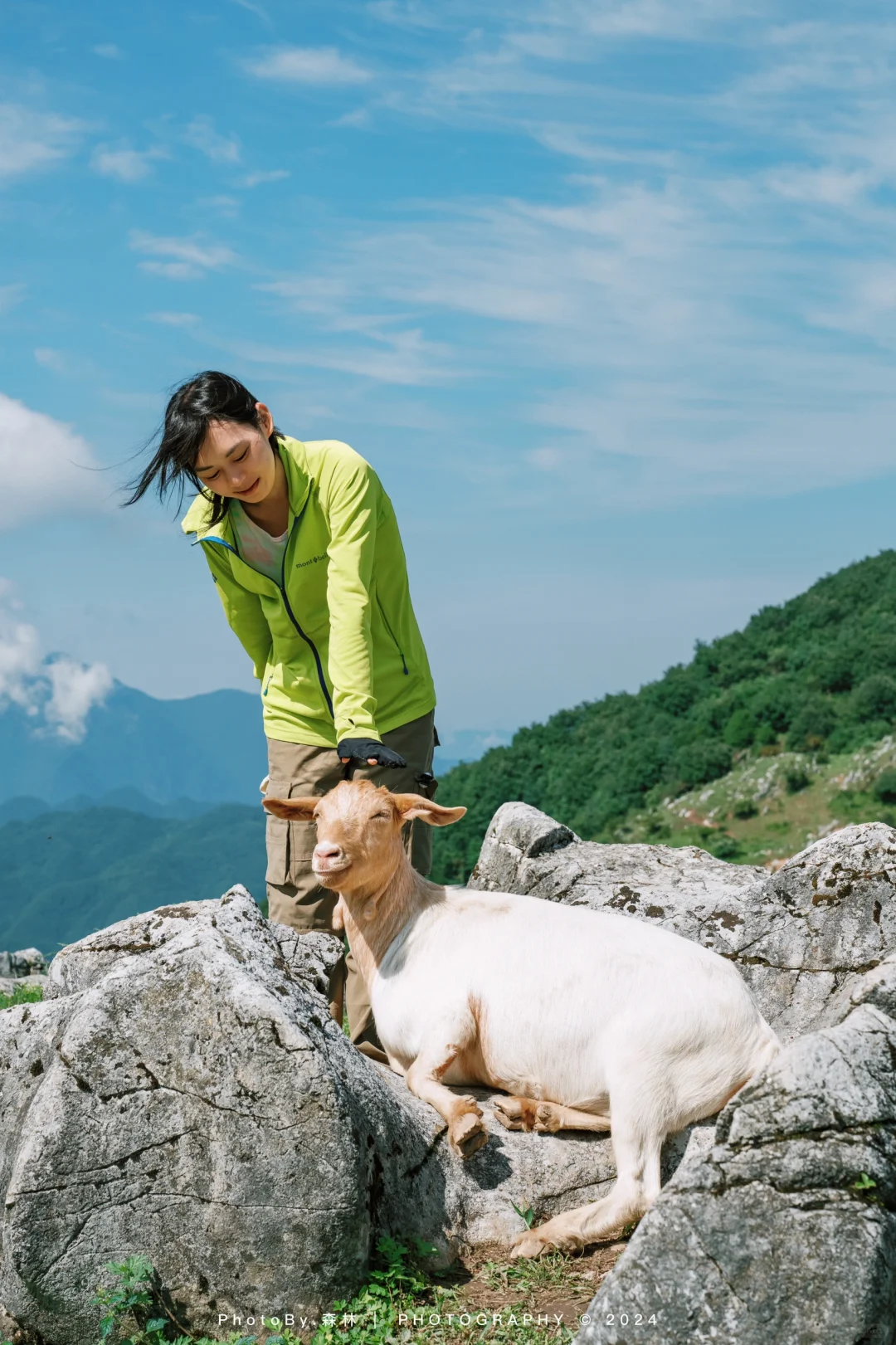 北羊山就是有很多羊的山🐑