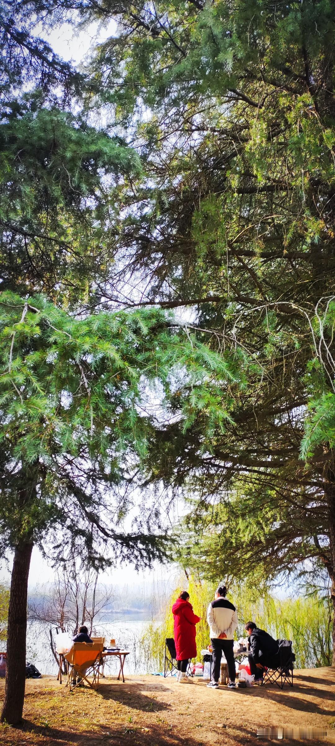 冬日生活打卡季说起来，晒太阳实在是极其平常之事，却成了冬日里小城人们心心念念的乐