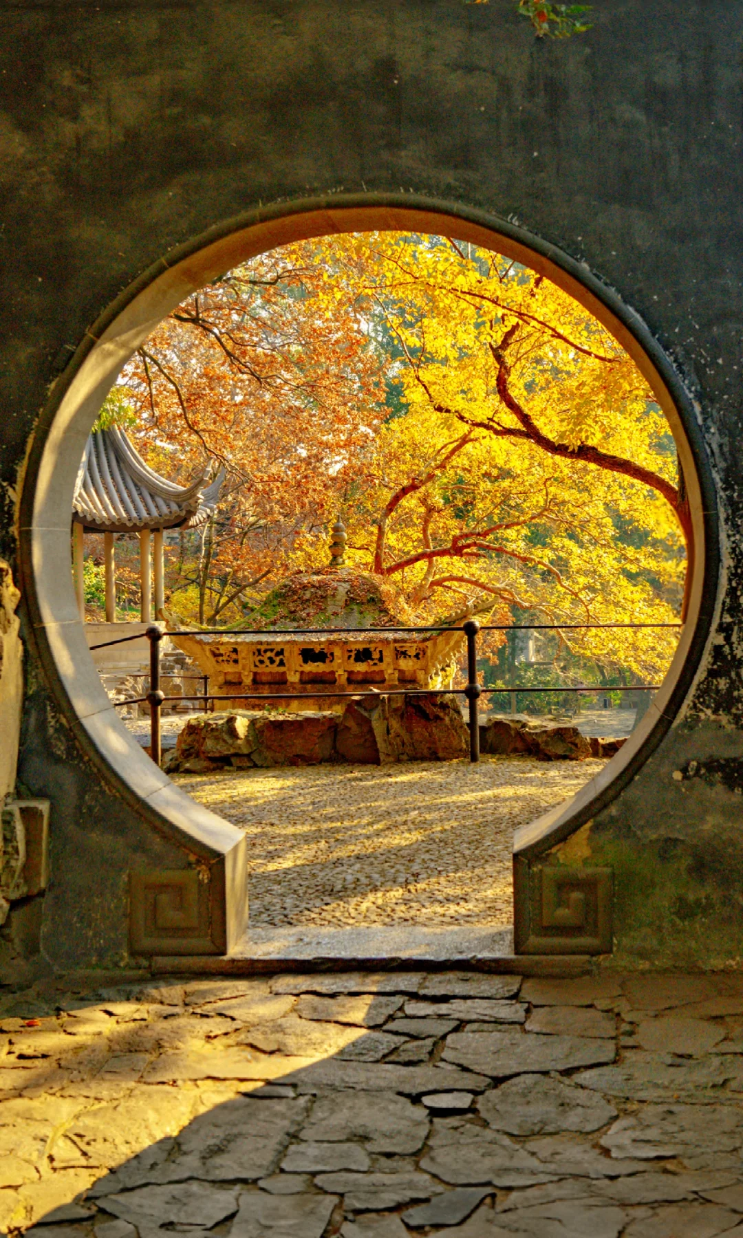 全屏封神挑战 | 圆洞秋景才是江南灵魂吧！