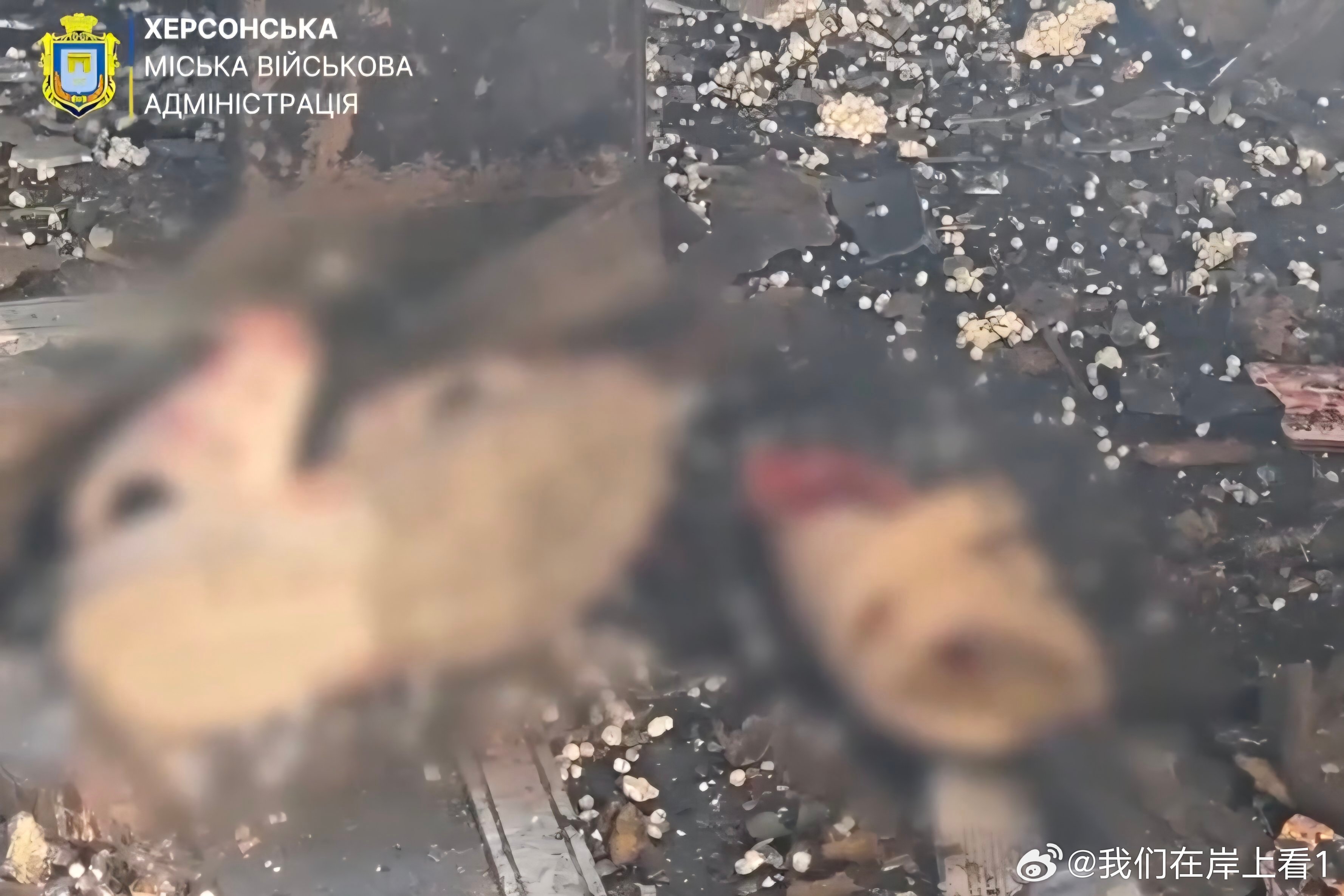 俄罗斯袭击了赫尔松的一辆小巴，一名18岁的女孩被炸死。 