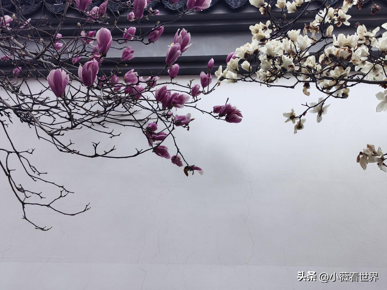 她总是抱怨，让大家觉得这世上没一个真心对她好的人。

她是我同事，今年也56了。