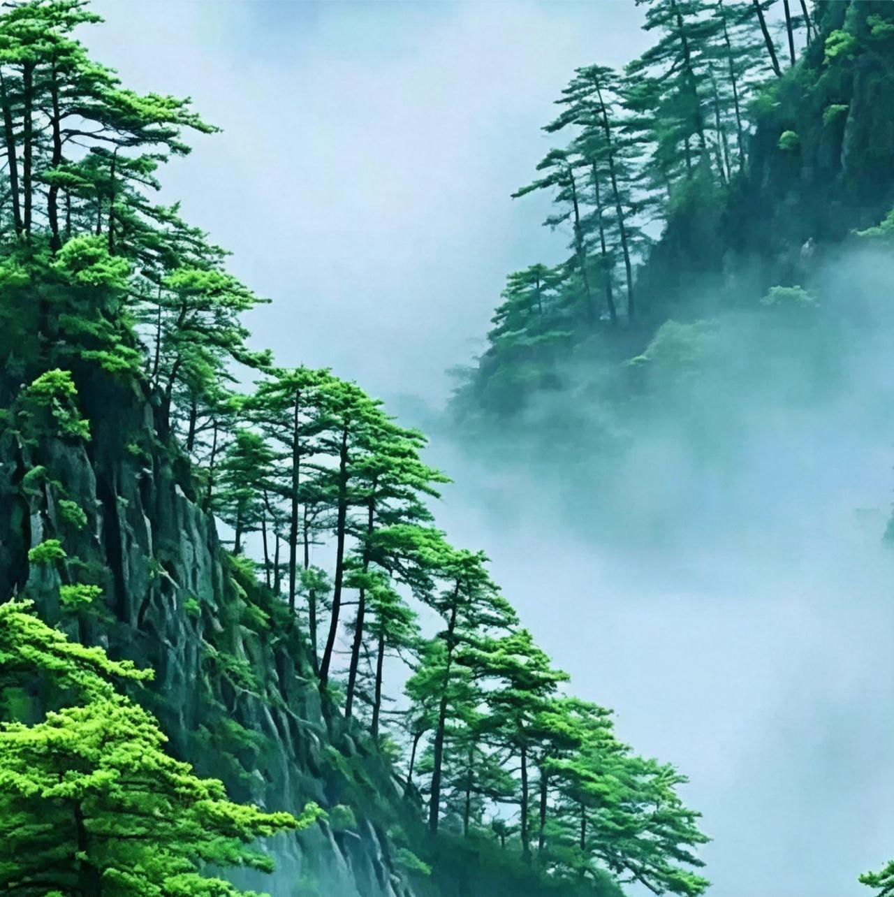 分享一下你随手拍下的照片