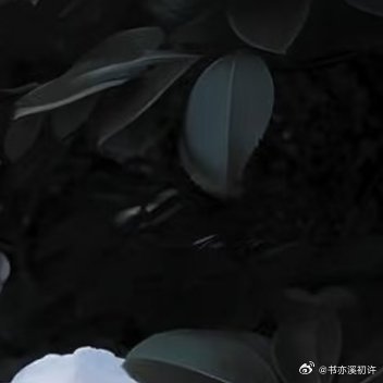 山茶花的种植方法：1. 选苗与土壤：选择健康、无病虫害的山茶花苗木，土壤要求疏松