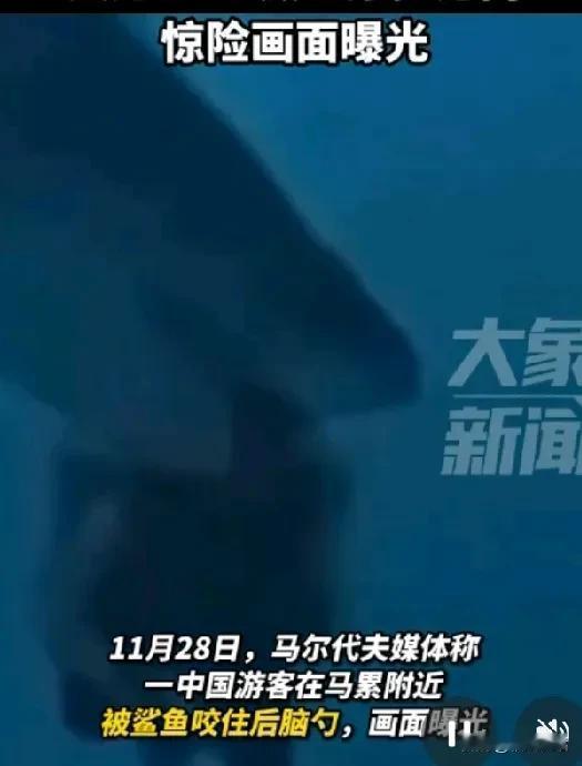 曝一起人类活动干预到鲨鱼领地差点被咬头，鲨口逃生，惊心动魄。
11月28日，一名