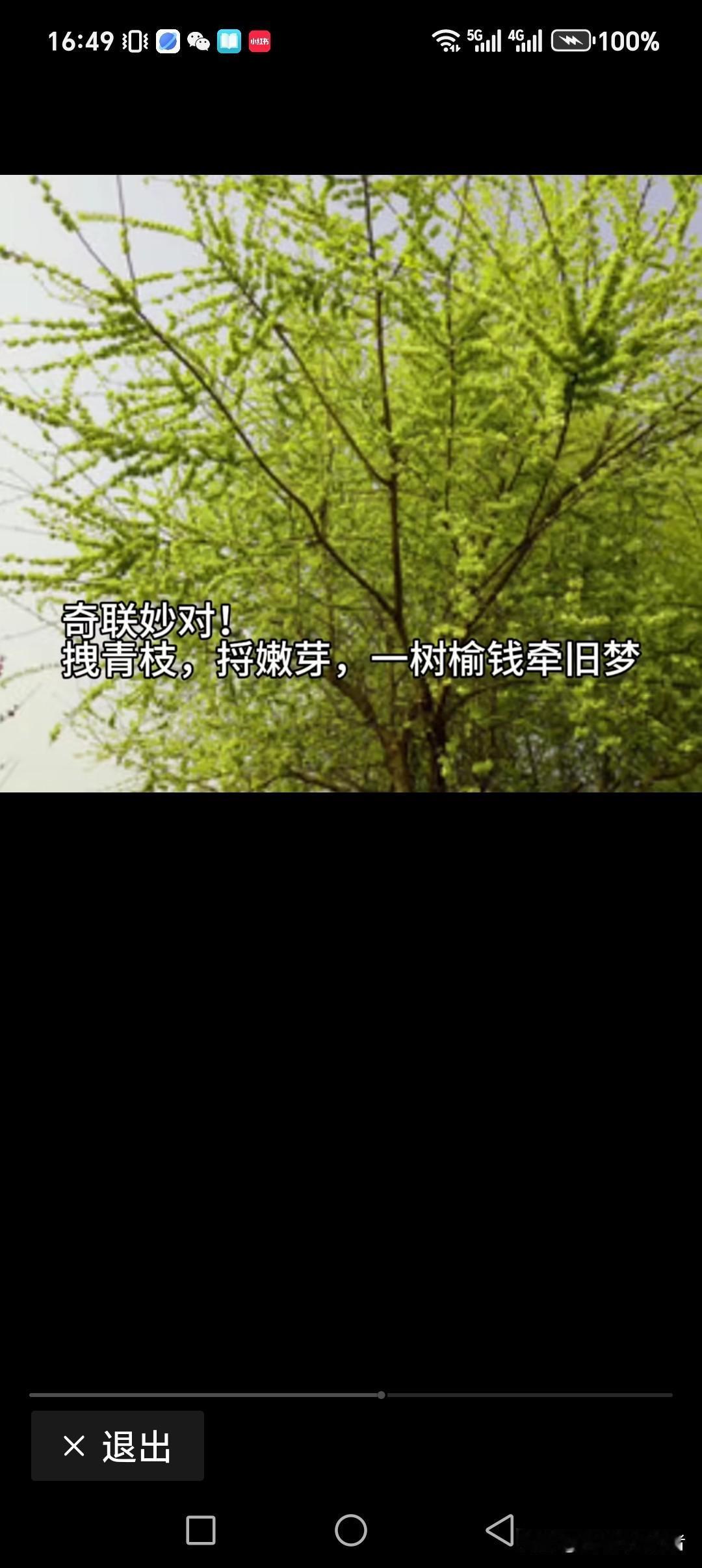 拽青枝，捋嫩芽，一树榆钱牵旧梦
爬果树，举竹杆，满枝红枣掉池中