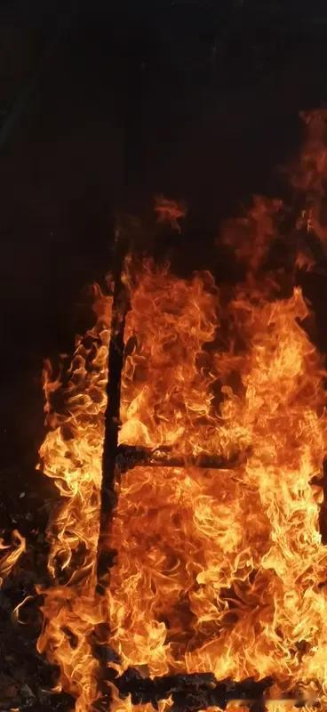 电暖气突发起火 宝妈3步硬核操作 冬天到了，各种取暖神器纷纷登场，可一旦使用不当