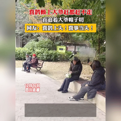 你相信吗？在四川成都的公园里，上演了一幕超暖心的“人鸟奇遇记”。一位戴着黑色帽子