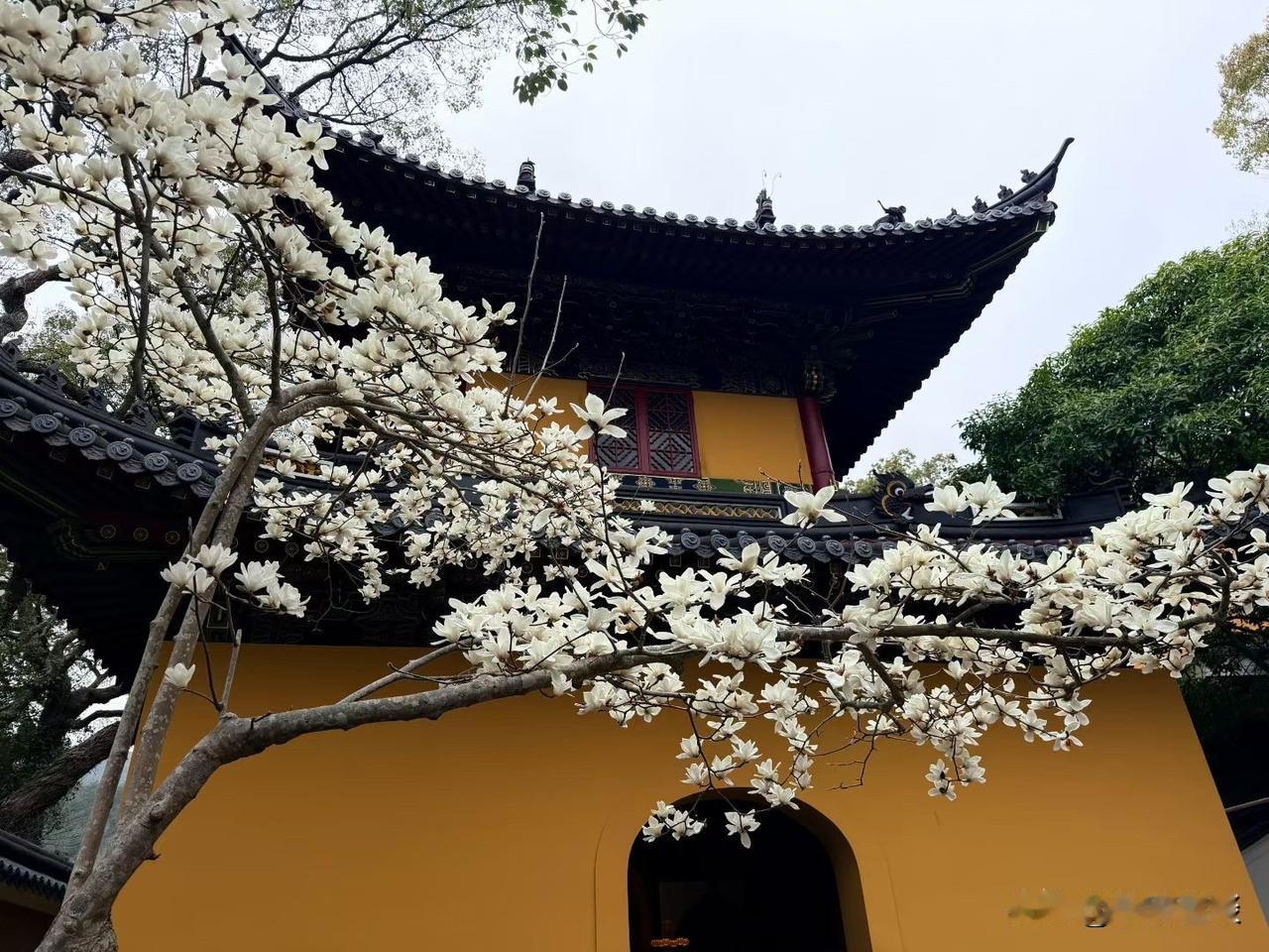 今天媳妇问我：“于木，寺庙里有那么多和尚，大街上也能看到一些和尚。可是医院里为什