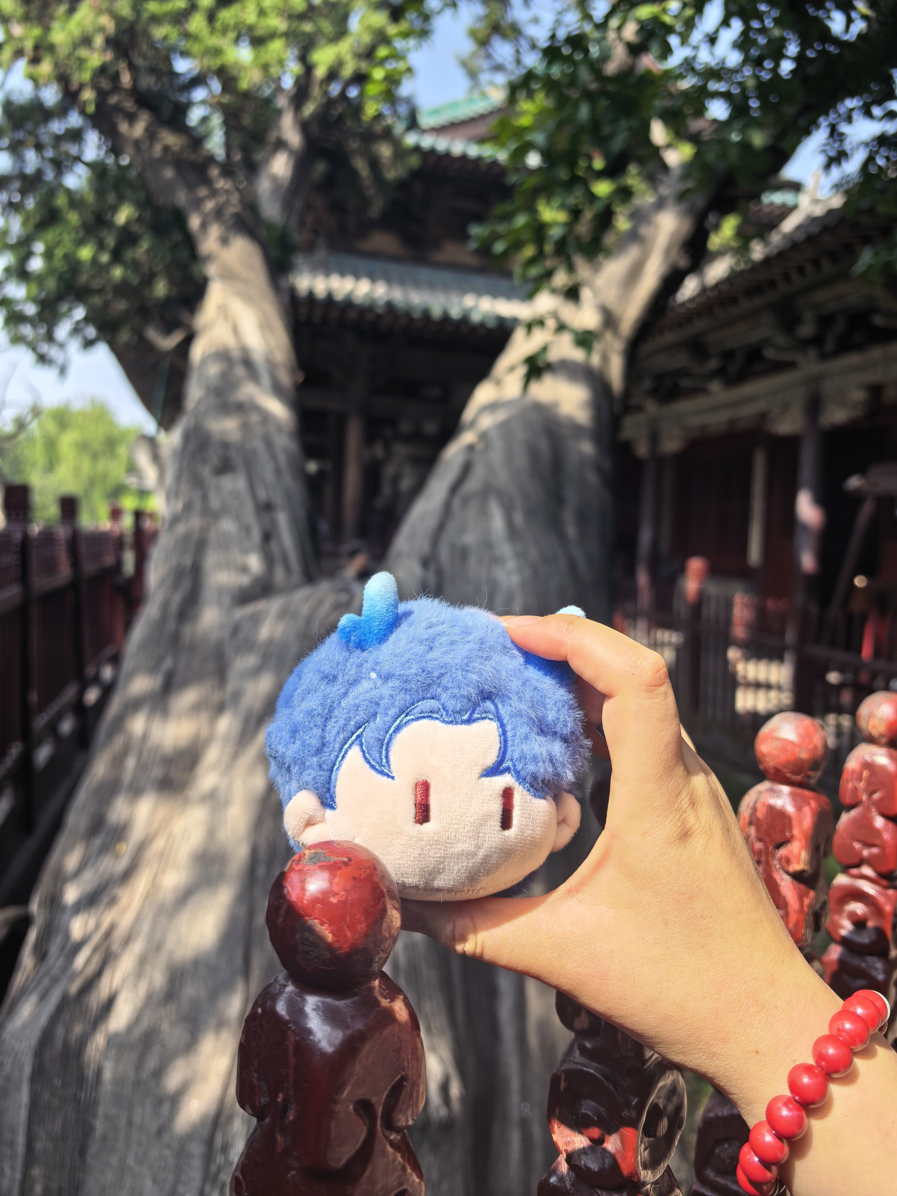 一龙呐，长命百岁，拍到99 太原·晋祠