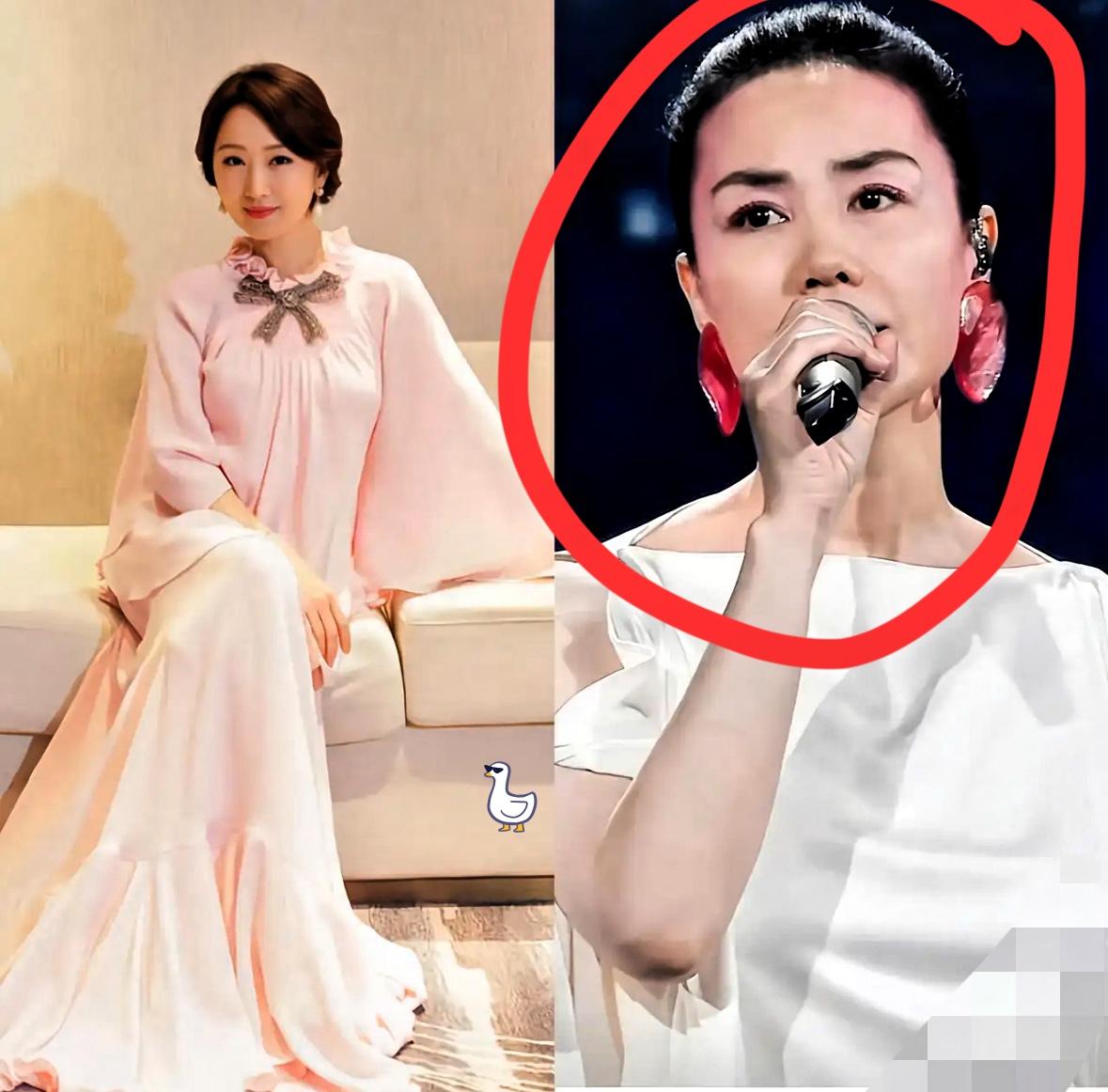王菲估计要坐不住了
不是谢霆锋移情别恋
也不是窦靖童给她惹了祸端，而是中秋晚会后