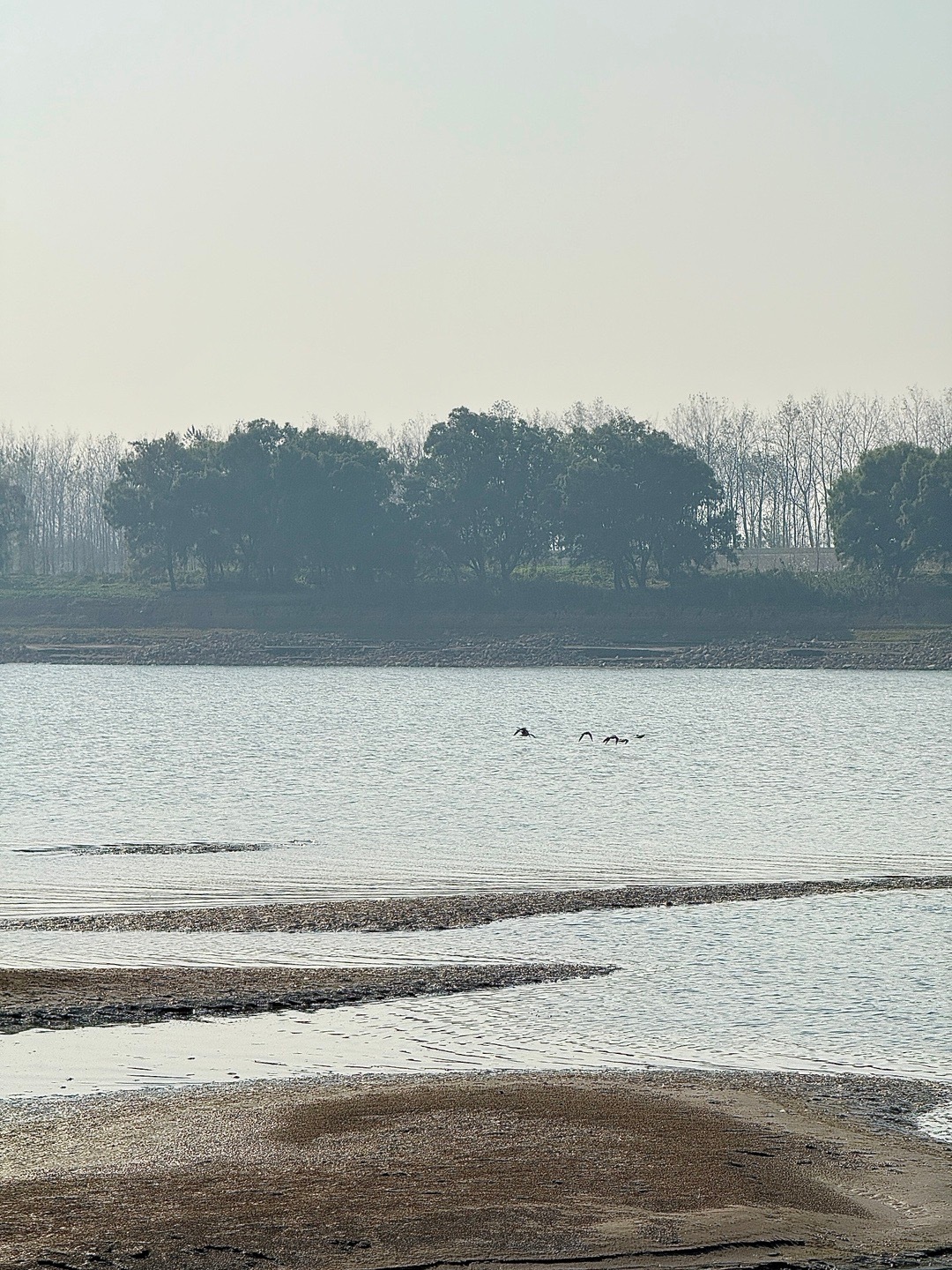 后来难入别人心，别人难入心，身边全是人，心里却是无人区 