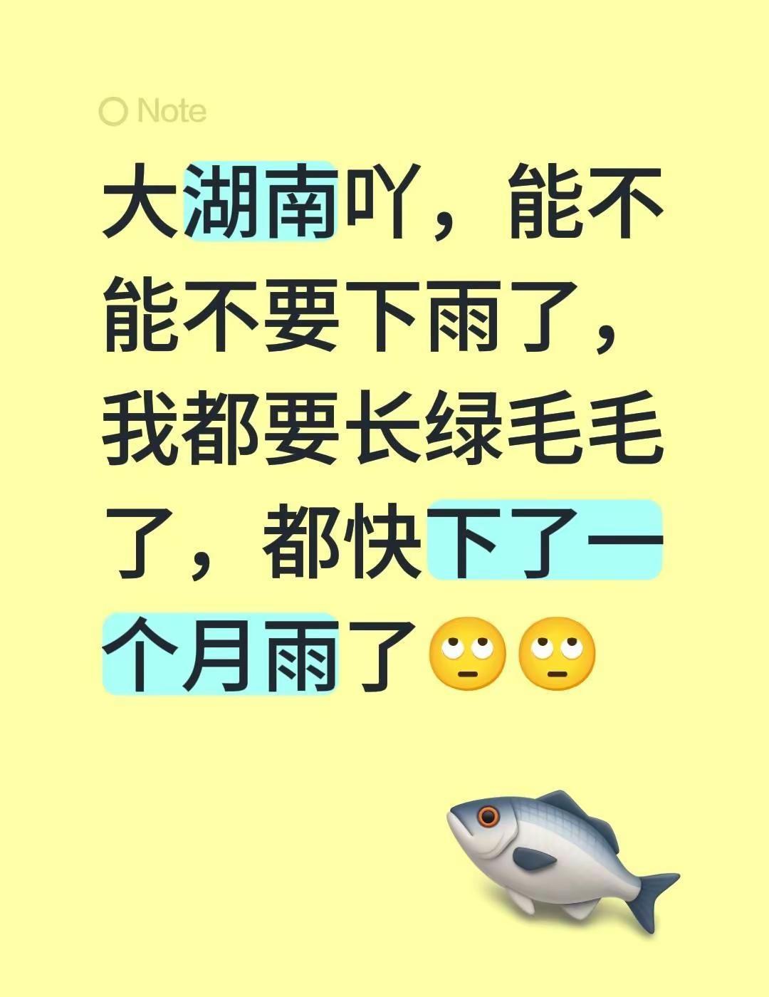 毛毛雨，小雨，大雨，就是这样不见太阳。大湖南吖，能不能不要下雨了，我都要长绿毛毛