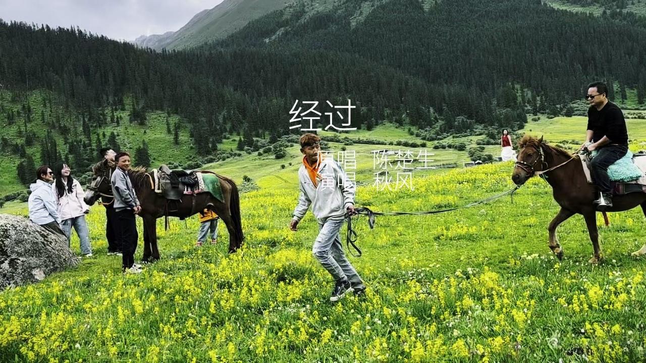 🌿在海拔4200米的草原骑马，风确实自由，但马蹄颠得人怀疑人生。这不是想象中的