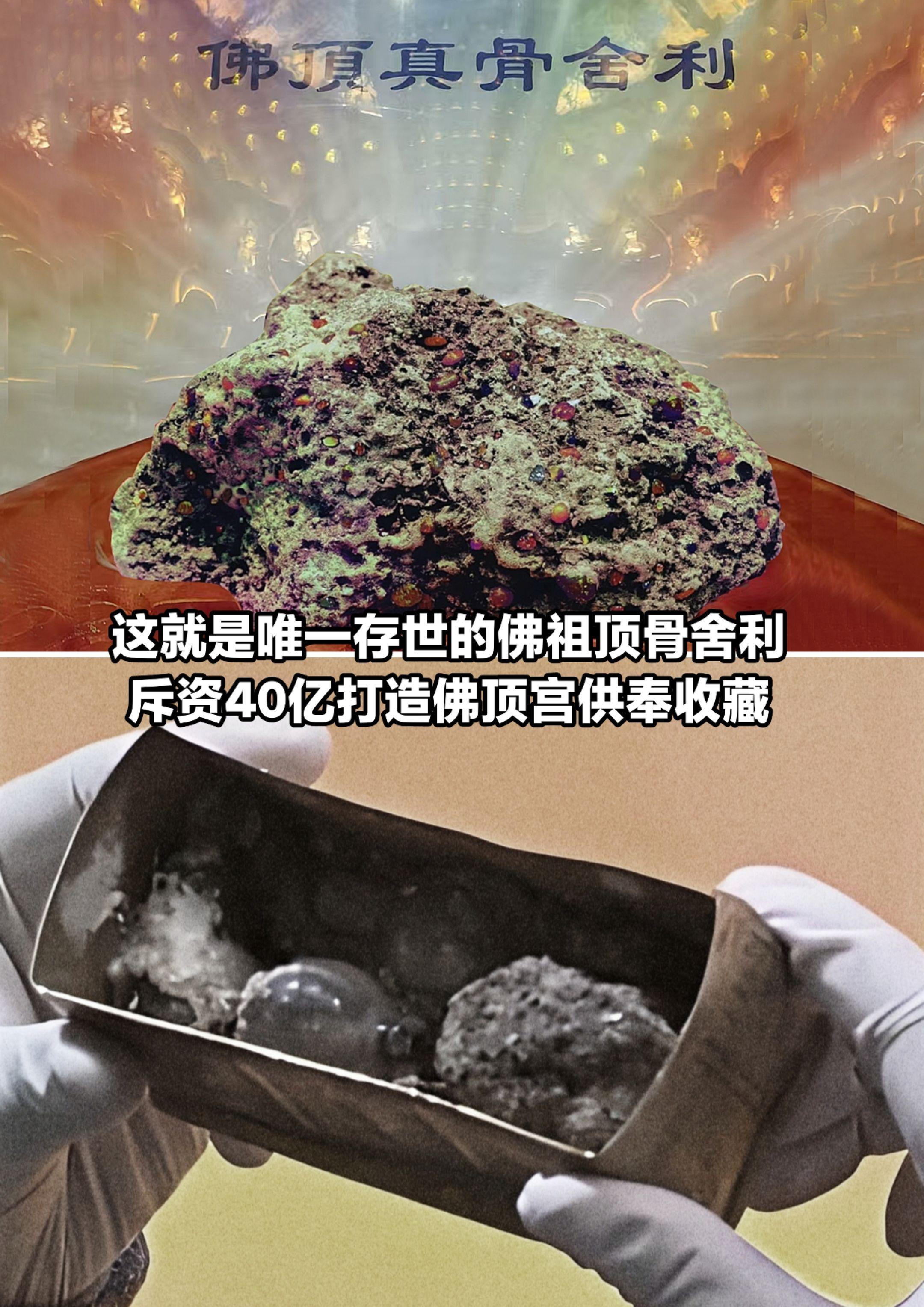 这就是佛祖释迦摩尼的顶骨舍利，太震撼了！
