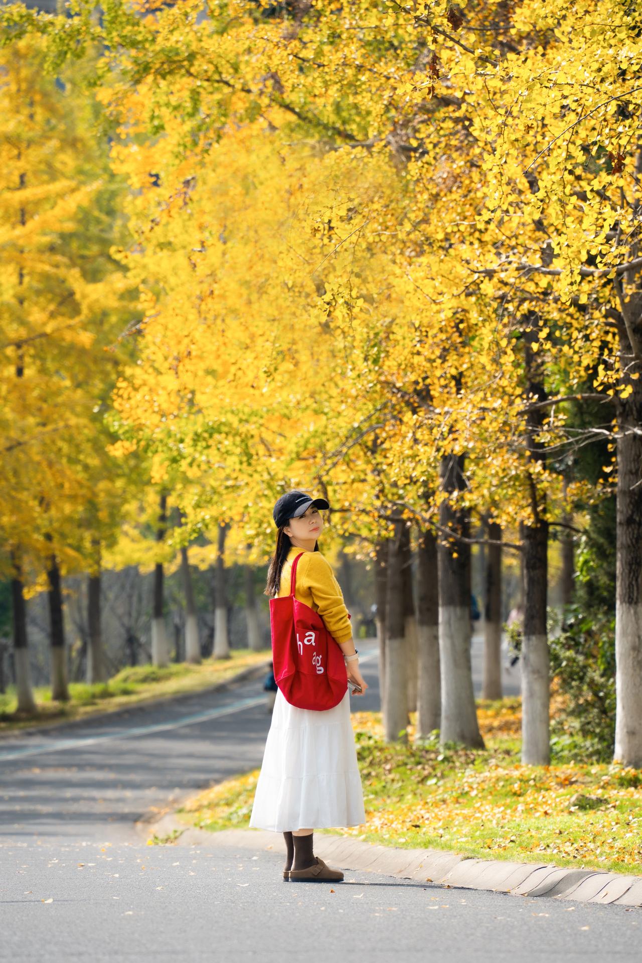 江夏这个公园，美爆了！
天晴就来藏龙岛湿地公园赏秋
银杏大道全黄了
阳光下随便拍