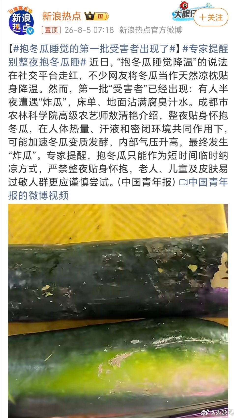 抱冬瓜睡觉的第一批受害者出现了有点意思，你只考虑到了夏天抱冬瓜睡觉凉快，却忽略了