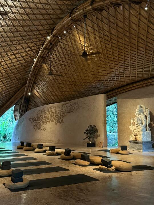 是瑜伽教室 也是蚊子的“食堂”