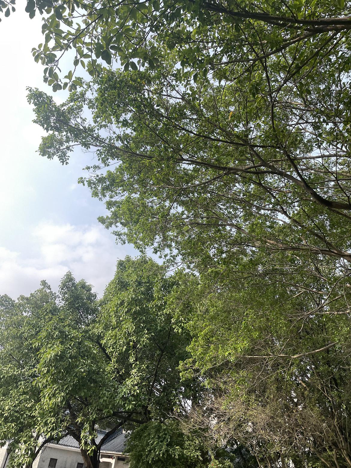 我的今日状态：😁轻松愉快
我这里的天气：🌤️多云