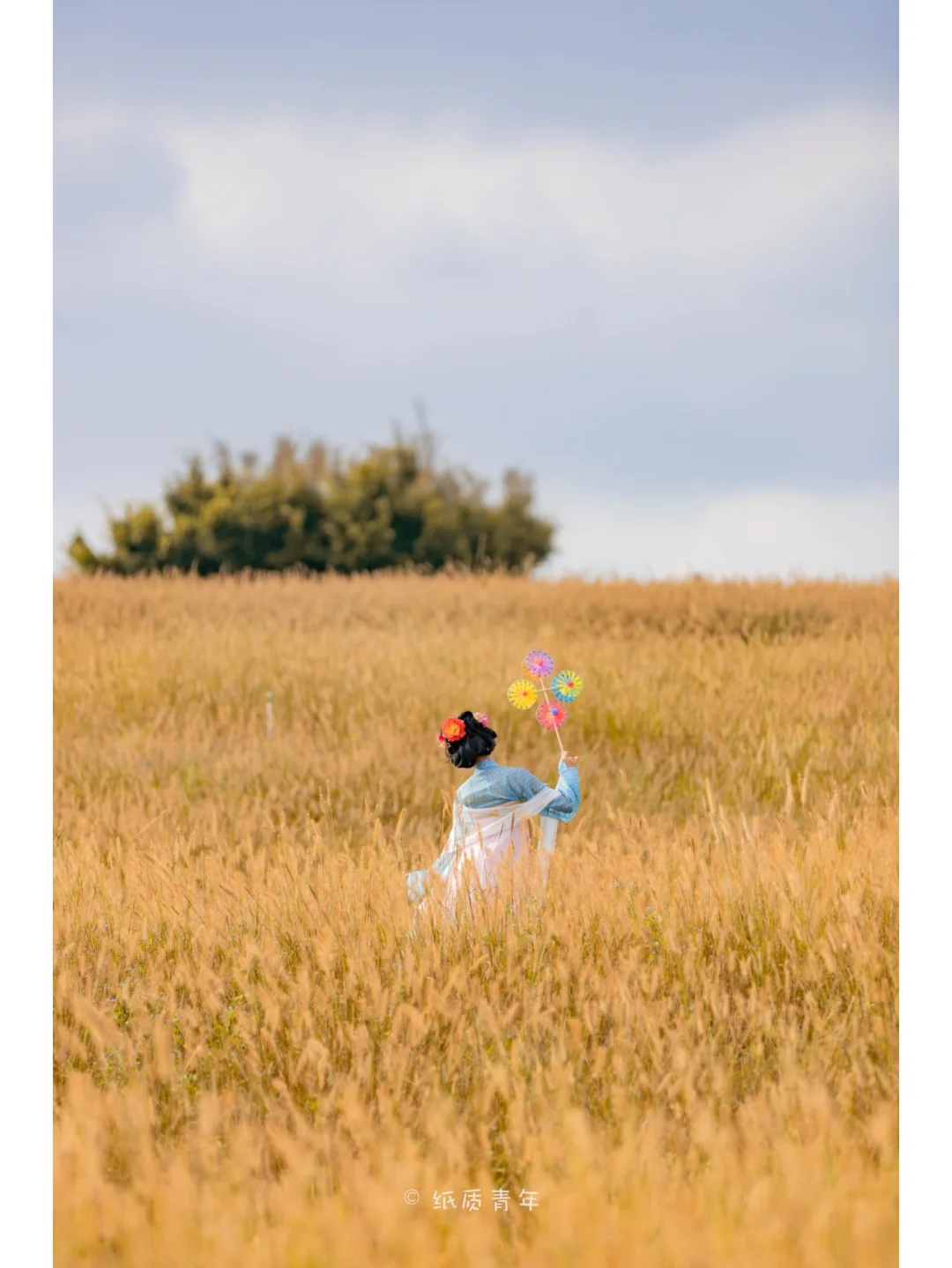 深圳陌上花公园|新晋网红打卡地值得去吗？