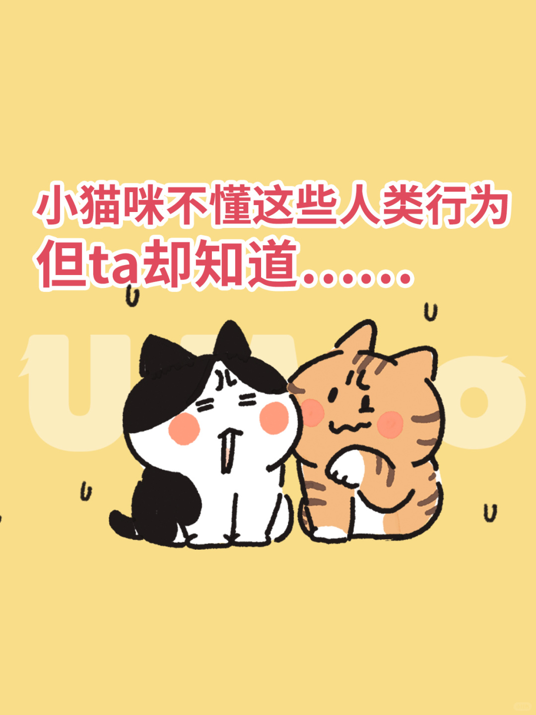 小猫咪搞不懂这些人类行为，但ta却知道……