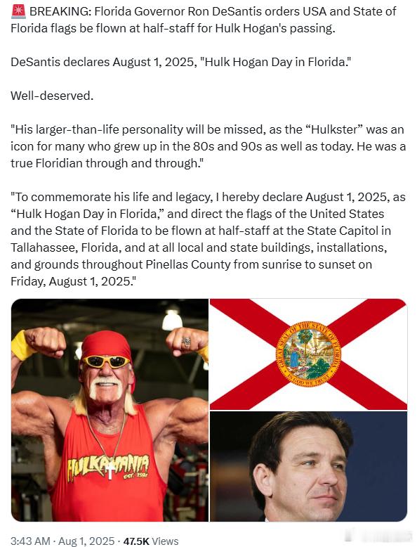 佛罗里达州州长罗恩·德桑蒂斯下令为悼念WWE传奇霍克·霍根（Hulk Hogan