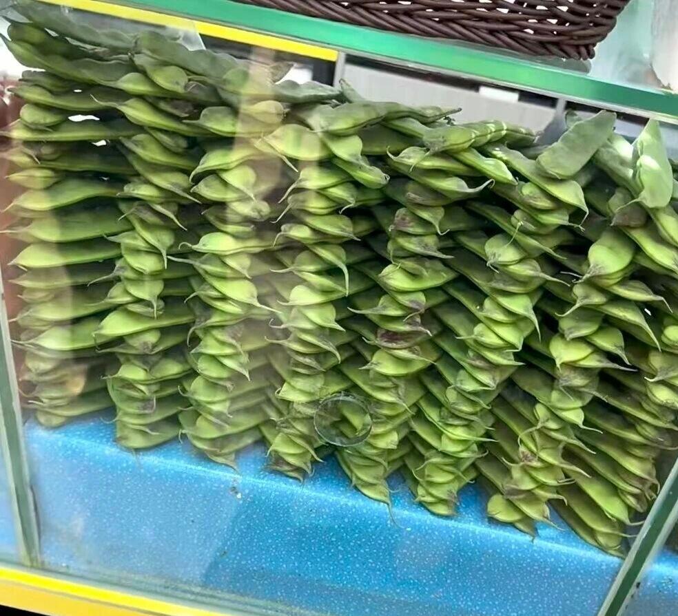 超市已经进化到这种程度了吗