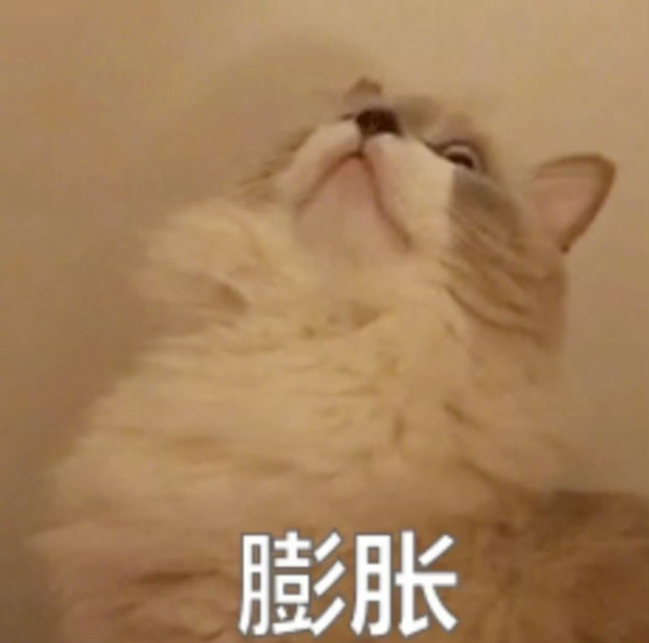 刘涛不承认也得承认～她对女人撒娇就完全没有抵抗力～ 